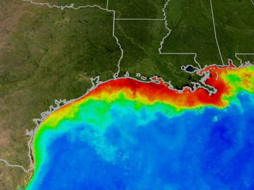 Gulf of Mexico Deadzone