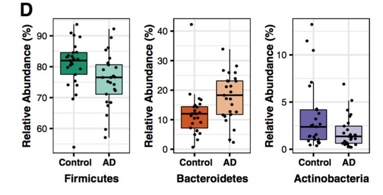 Gut Bacteria