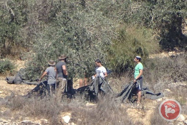 israeli settlers