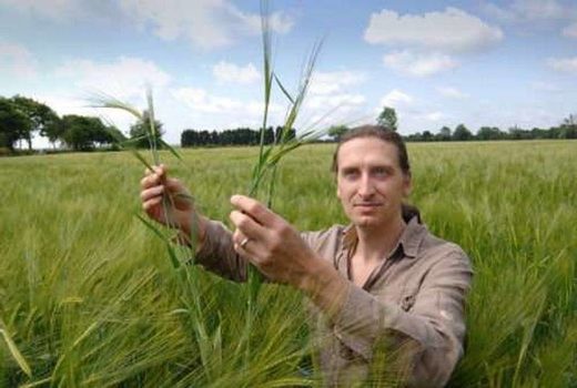 man farm field crops