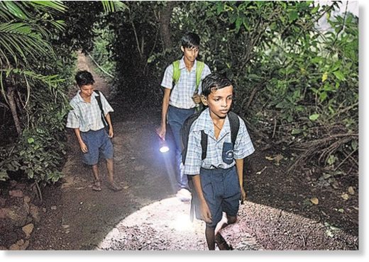 Click to enlarge Children in the forest travel to school. They have been instructed to walk only in groups of six.