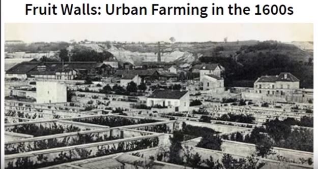 Click to enlarge Fruit walls