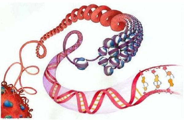 Click to enlarge DNA strand