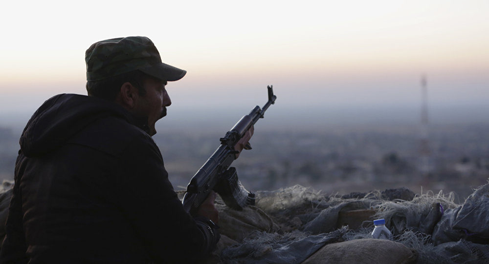 Kurdish fighter