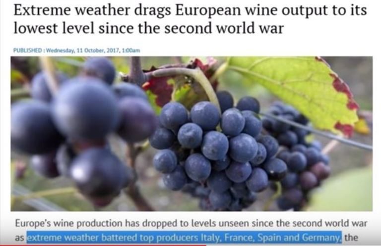 European wine production lows