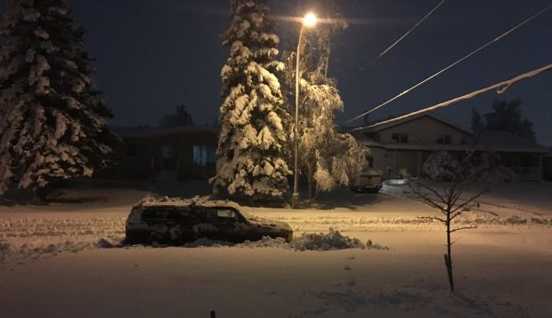 Overnight snow cancelled city buses in Fort St. John until ploughs were able to get onto the streets.