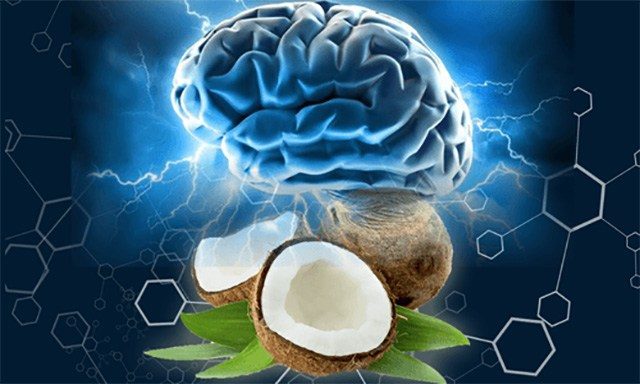 Kokosöl und Alzheimer, Kokosöl und Gehirn