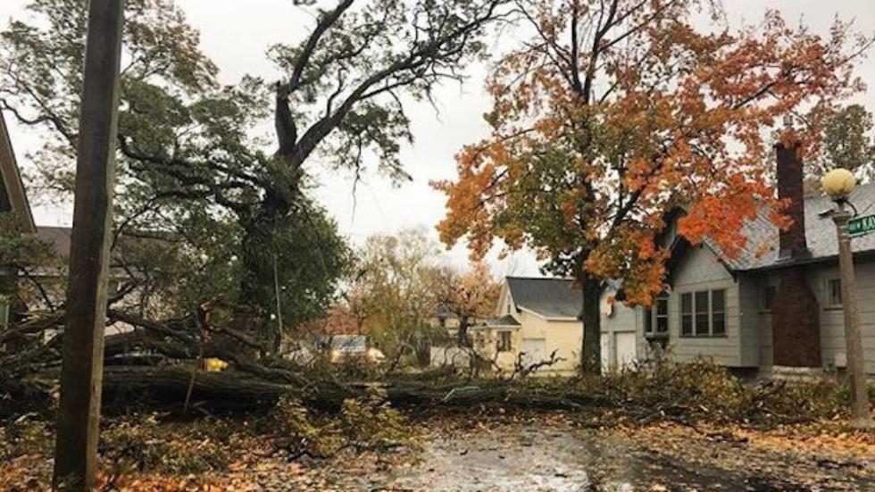 A tree is downed during a high wind event in Marquette, Michigan, on Oct. 24, 2017