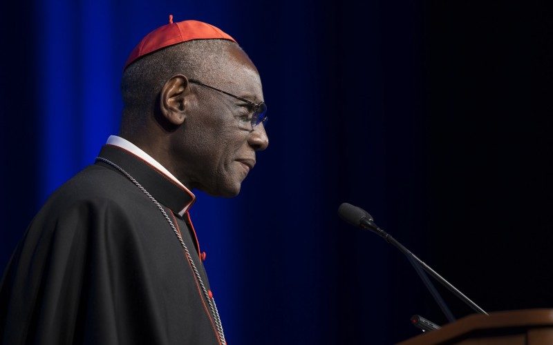 cardinal sarah