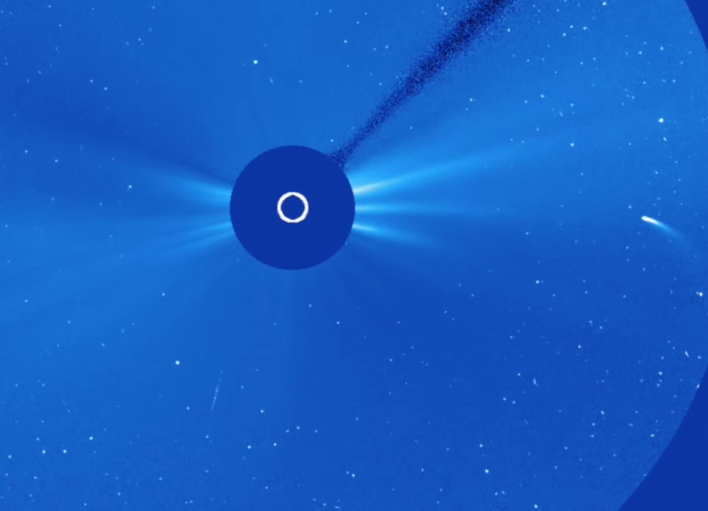 comet 96P/Machholz