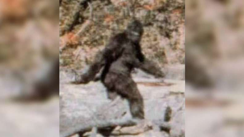 Click to enlarge bigfoot Patterson-Gimlin film