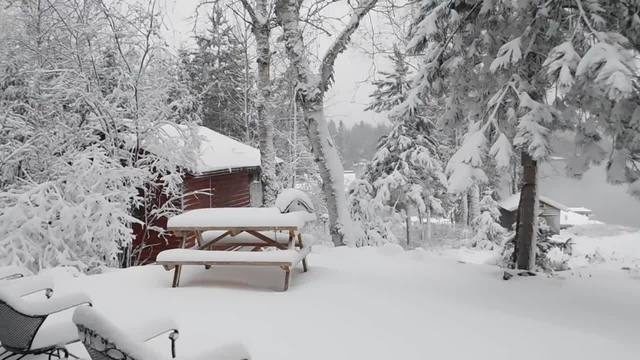 snow