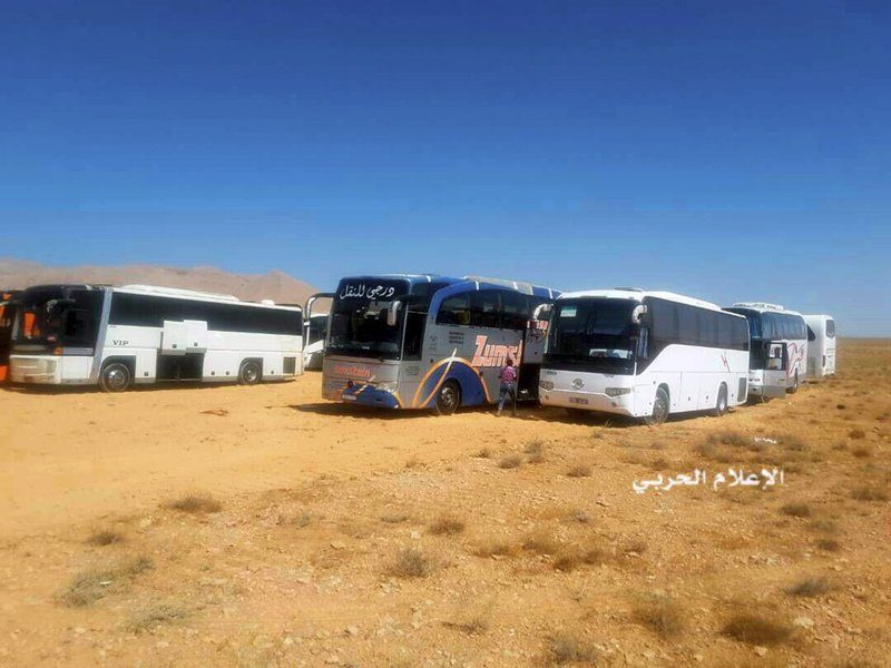 buses desert Syria