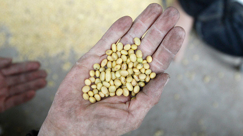 Click to enlarge Soy not so good