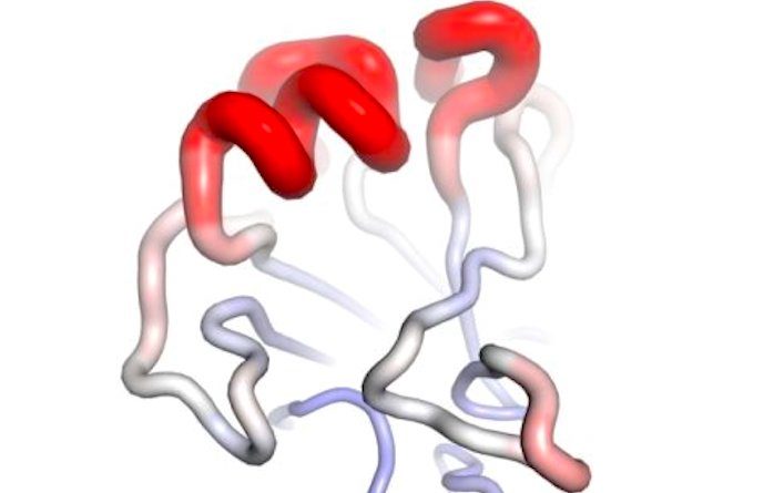 Click to enlarge Mutation