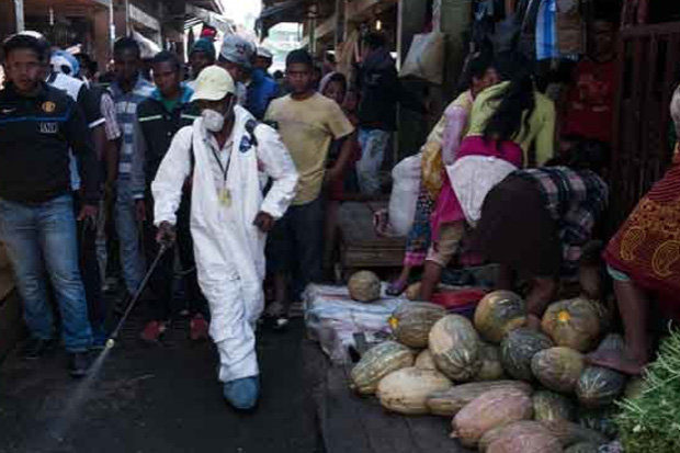 Click to enlarge Madagascar plague