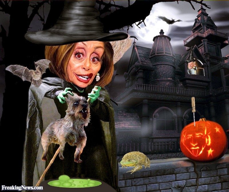 nancy pelosi cartoon