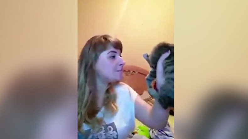 Click to enlarge kitten torturer
