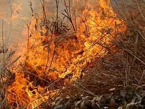 Click to enlarge California Wild Fires
