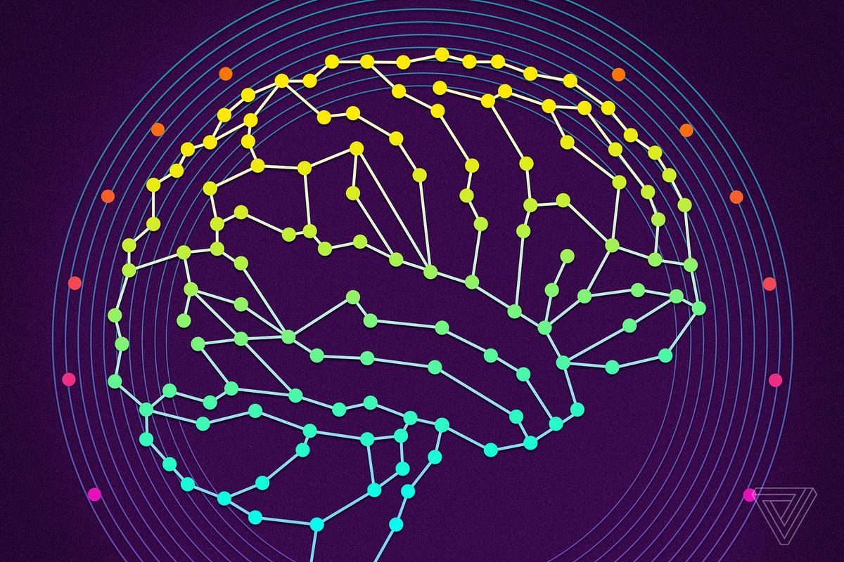brain scan