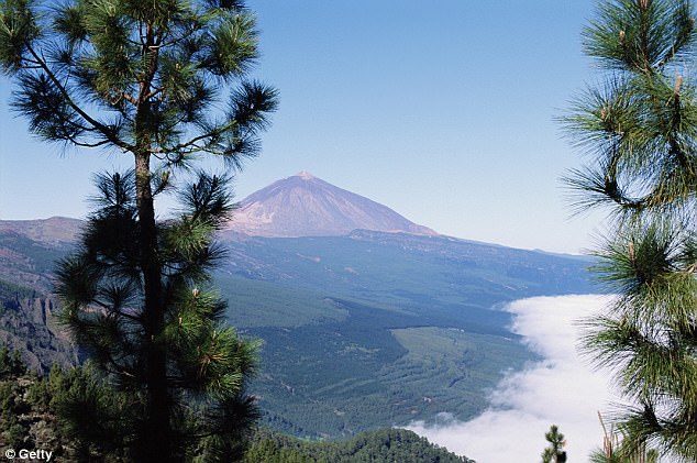 Click to enlarge A seismic swarm of 22 earthquakes have rocked Tenerife in just four days sparking fears Mount Teide (pictured) could be about to erupt