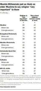 young muslims america
