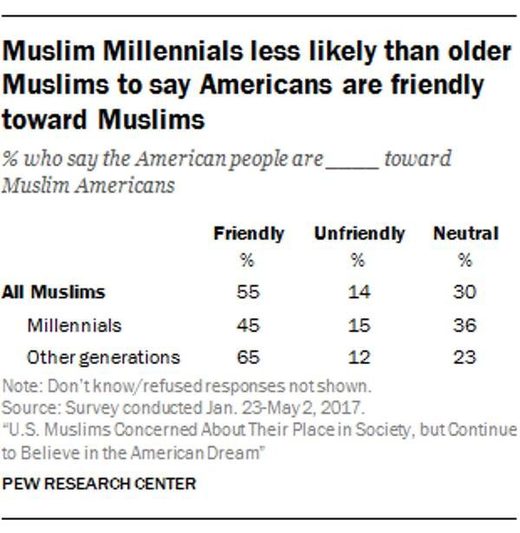young muslims america