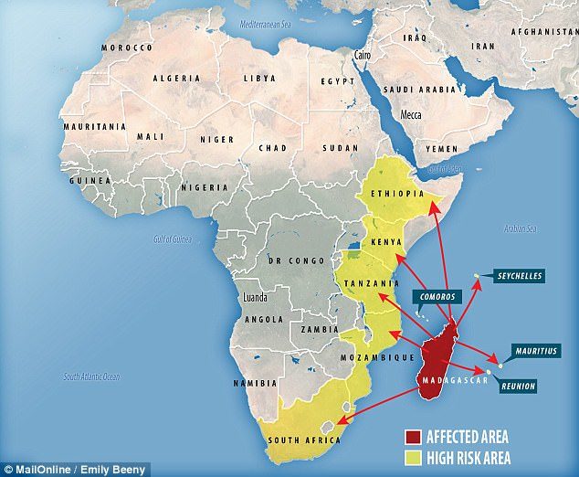 Click to enlarge Madagascar plague