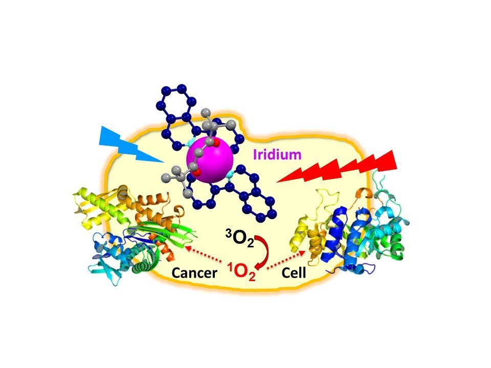 Diagram showing iridium attacking a cancer cell by making it produce singlet oxygen