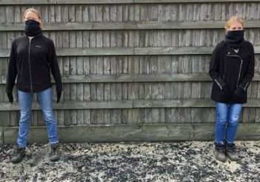 Click to enlarge horse body language study