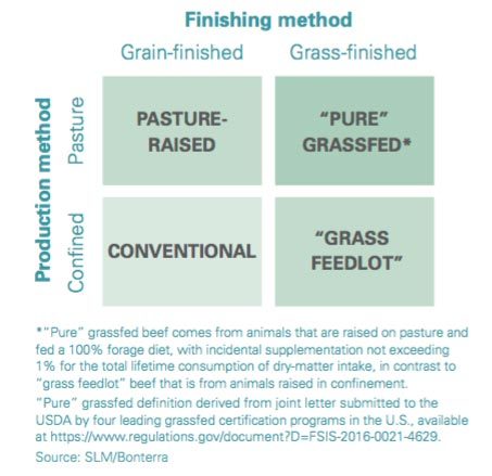 beef finishing methods