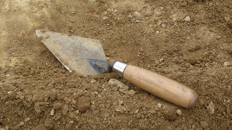 Click to enlarge Trowel