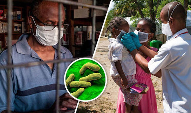 Click to enlarge marburg virus uganda