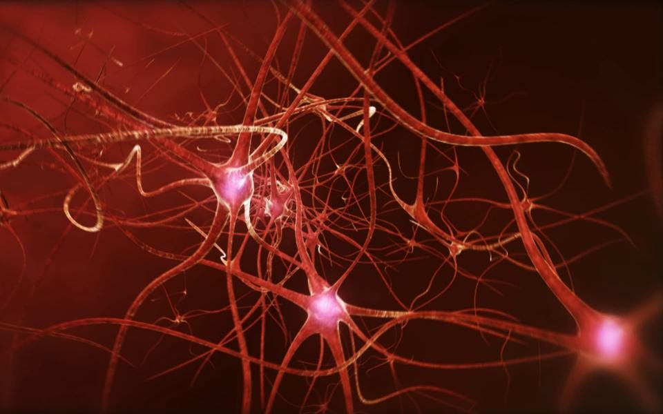 Click to enlarge Sleep deprivation stops brain cells firing properly, changing how we see the world