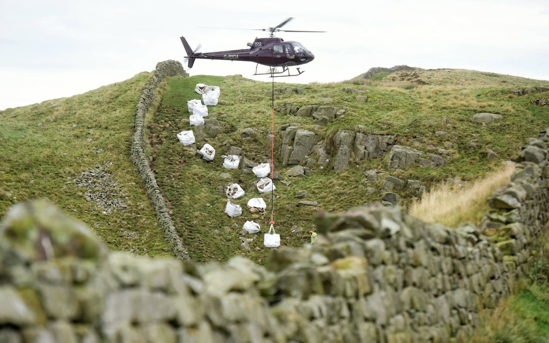 Why Hadrian's Wall is succumbing to foreign invasion after nearly 2,000 years