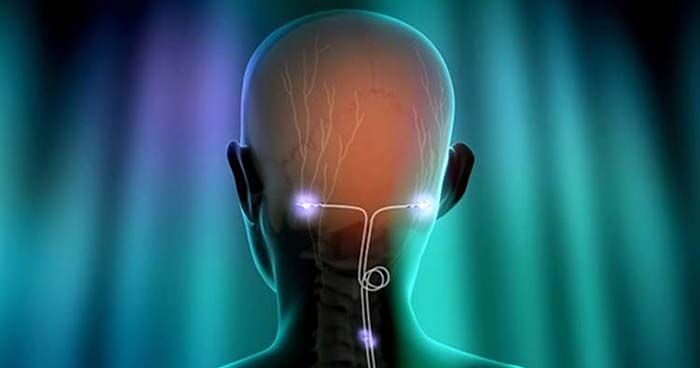 Vagal nerve stimulation, vagus nerve