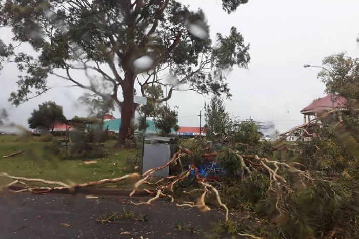 Violent weather anomaly brings giant hail, unseasonal snow and destructive winds in New South Wales, Australia