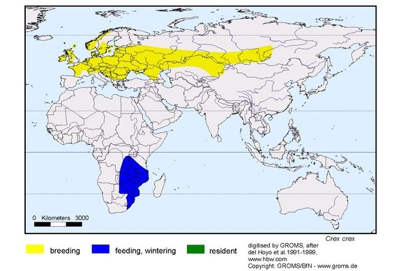 Distribution map