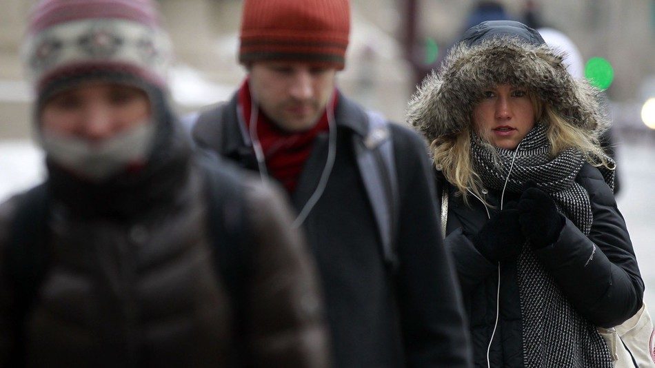 peeps in coats