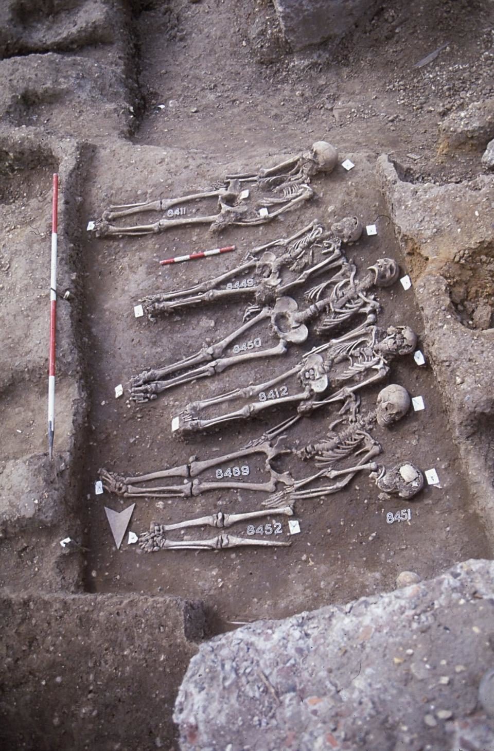 Click to enlarge Mass burial trench