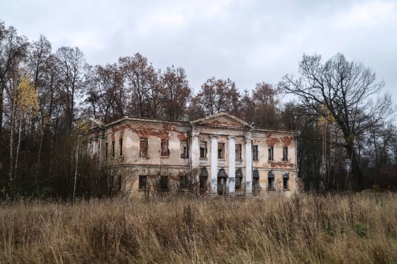 Click to enlarge Grebnevo estate
