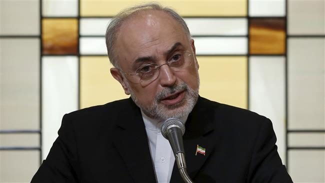 Ali Akbar Salehi