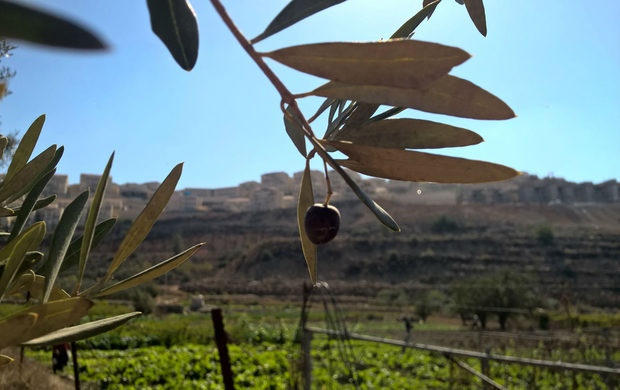 illegal settlements Israel