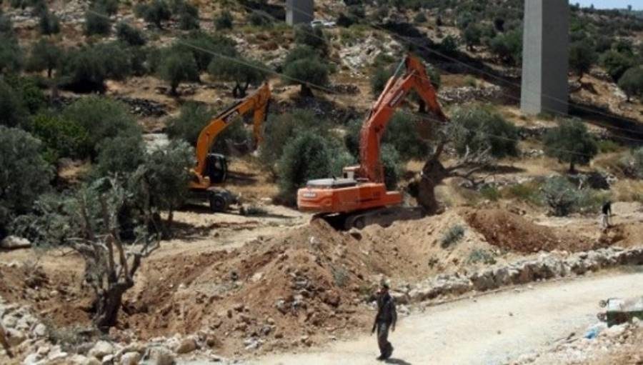 israel destroys olive trees
