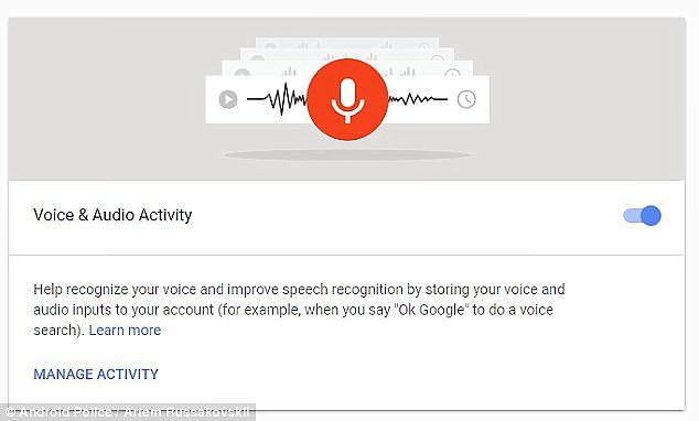 google voice activity