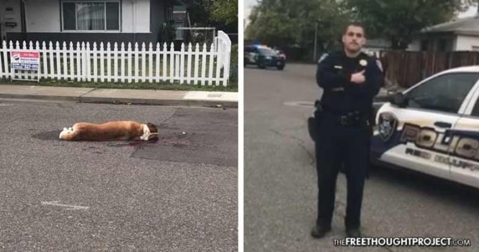 cop kills dog