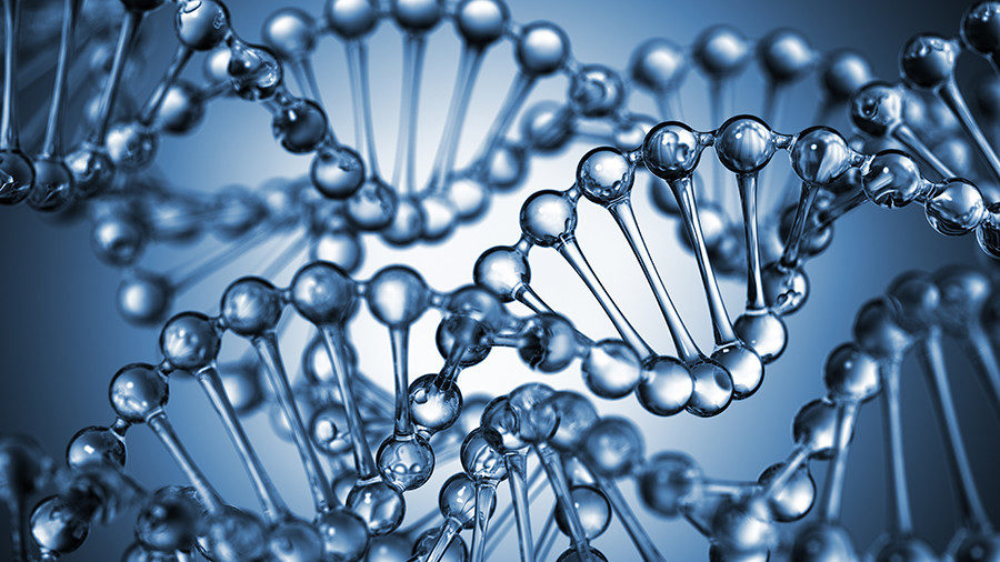 DNA strands