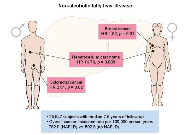Click to enlarge Non-alcoholic fatty liver disease increases risk of liver, colorectal, and breast cancers