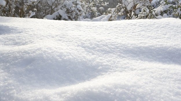Snow