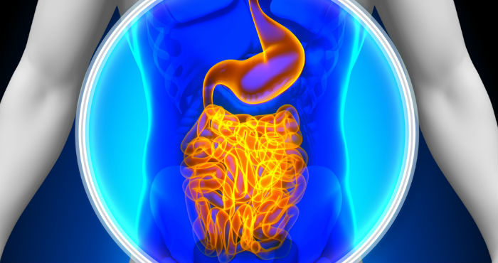 Click to enlarge gut flora